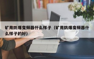 礦用防爆變頻器什麽樣子（礦用防爆變頻器什麽樣子的好）
