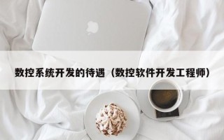 數控系統開發的待遇（數控軟件開發工程師）