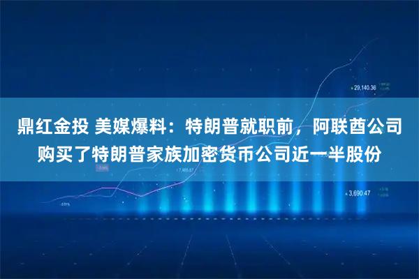 鼎红金投 美媒爆料：特朗普就职前，阿联酋公司购买了特朗普家族加密货币公司近一半股份