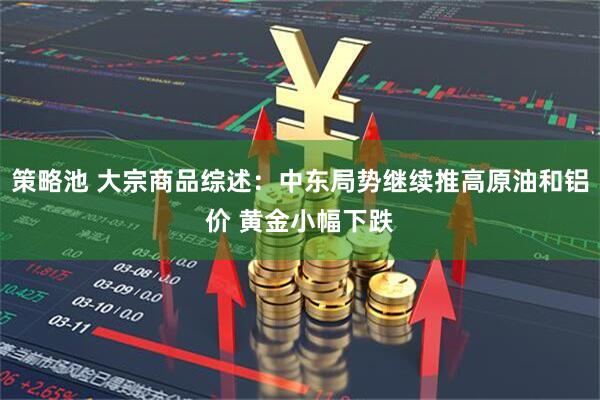 策略池 大宗商品综述：中东局势继续推高原油和铝价 黄金小幅下跌