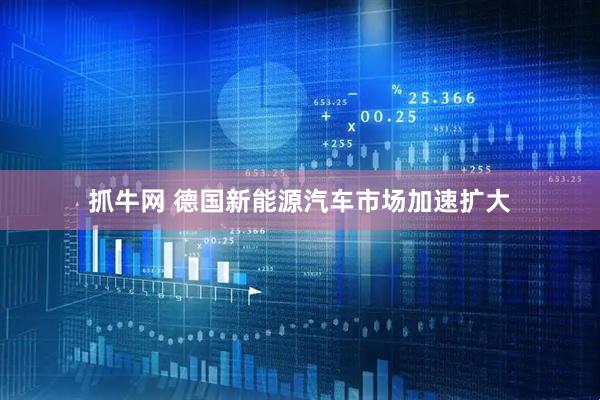 抓牛网 德国新能源汽车市场加速扩大