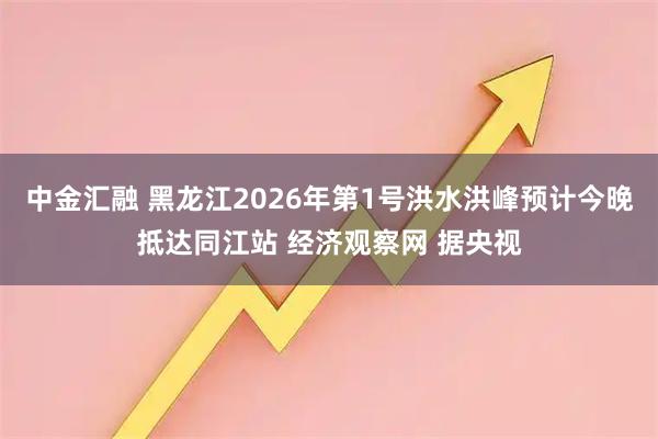 中金汇融 黑龙江2026年第1号洪水洪峰预计今晚抵达同江站 经济观察网 据央视