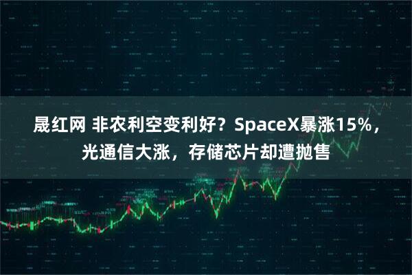 晟红网 非农利空变利好？SpaceX暴涨15%，光通信大涨，存储芯片却遭抛售